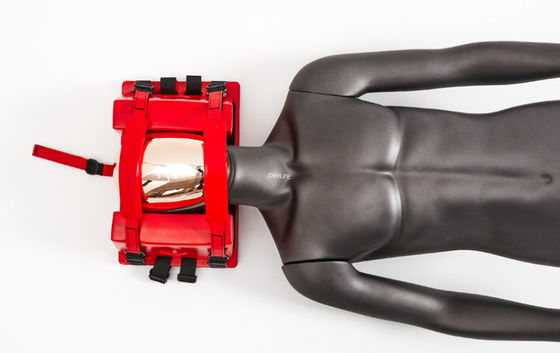 Immobilizzatore universale della testa per spine